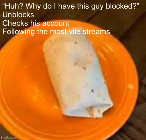 JimmyHere Burrito | “Huh? Why do I have this guy blocked?”
Unblocks
Checks his account
Following the most vile streams | image tagged in jimmyhere burrito | made w/ Imgflip meme maker