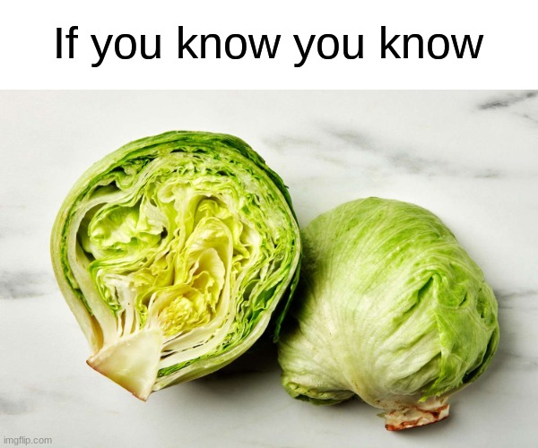 Only OGs will understand | If you know you know | image tagged in lettuce,og,memes,dank | made w/ Imgflip meme maker