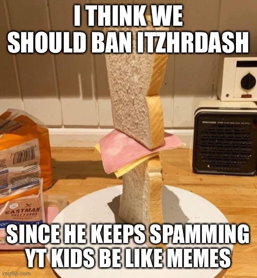 Standwich | I THINK WE SHOULD BAN ITZHRDASH; SINCE HE KEEPS SPAMMING YT KIDS BE LIKE MEMES | image tagged in standwich | made w/ Imgflip meme maker