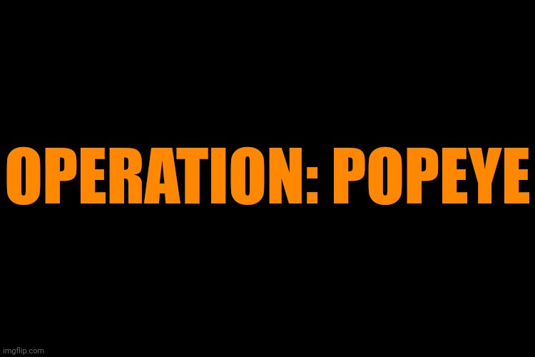 Look it up. | OPERATION: POPEYE | image tagged in black screen | made w/ Imgflip meme maker