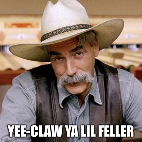 SARCASM COWBOY | YEE-CLAW YA LIL FELLER | image tagged in sarcasm cowboy | made w/ Imgflip meme maker