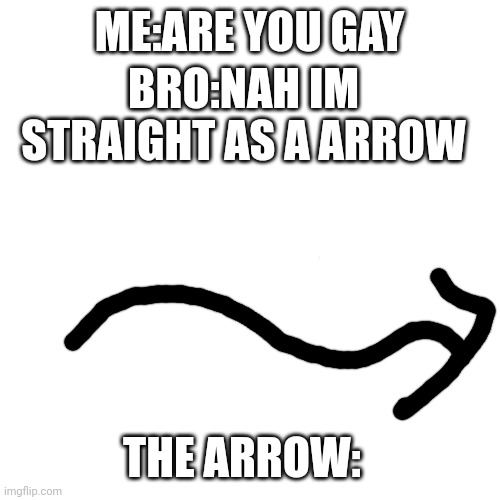 Blank Transparent Square | ME:ARE YOU GAY; BRO:NAH IM STRAIGHT AS A ARROW; THE ARROW: | image tagged in memes,blank transparent square | made w/ Imgflip meme maker