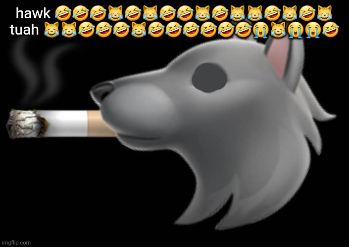 epic fucking wolf smoking a cigar | hawk 🤣🤣🤣😹🤣😹🤣🤣😹🤣😹😹🤣😹🤣😹 tuah 😹😹🤣🤣🤣😹🤣🤣🤣🤣🤣🤣😭😹😭😭🤣 | image tagged in epic fucking wolf smoking a cigar | made w/ Imgflip meme maker