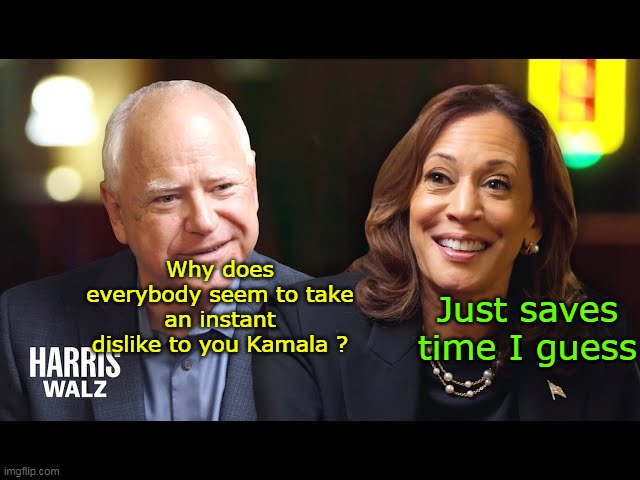 Attended the Hillary Clinton Charm School | Why does everybody seem to take an instant dislike to you Kamala ? Just saves time I guess | image tagged in dislike kamala meme | made w/ Imgflip meme maker