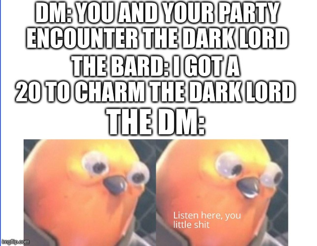 The dark lord | DM: YOU AND YOUR PARTY ENCOUNTER THE DARK LORD; THE BARD: I GOT A 20 TO CHARM THE DARK LORD; THE DM: | image tagged in listen here you little shit,birb,dnd | made w/ Imgflip meme maker