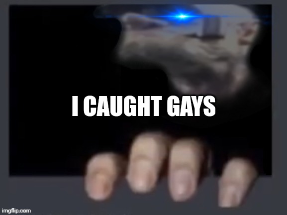 ㅤ | I CAUGHT GAYS | image tagged in everyone in between x react them | made w/ Imgflip meme maker
