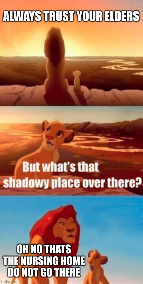 nursing home... | ALWAYS TRUST YOUR ELDERS; OH NO THATS THE NURSING HOME DO NOT GO THERE | image tagged in memes,simba shadowy place | made w/ Imgflip meme maker