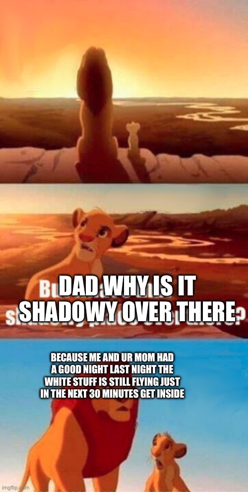 Simba Shadowy Place Meme | DAD WHY IS IT SHADOWY OVER THERE; BECAUSE ME AND UR MOM HAD A GOOD NIGHT LAST NIGHT THE WHITE STUFF IS STILL FLYING JUST IN THE NEXT 30 MINUTES GET INSIDE | image tagged in memes,simba shadowy place | made w/ Imgflip meme maker