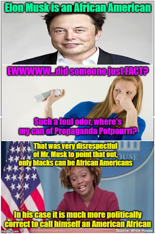 Is that the equivalent of white chocolate? | Elon Musk is an African American; EWWWWW...did someone just FACT? Such a foul odor, where's my can of Propaganda Potpourri? That was very disrespectful of Mr. Musk to point that out, only blacks can be African Americans; In his case it is much more politically correct to call himself an American African | image tagged in trump,maga,elon musk,election 2024,south africa,fart jokes | made w/ Imgflip meme maker