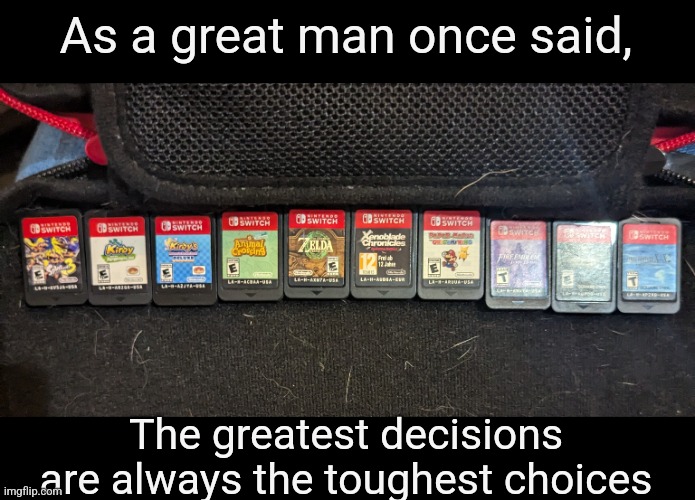 Man, figuring out which game to play is difficult. Sorry for blur, these guys are very small. | As a great man once said, The greatest decisions are always the toughest choices | image tagged in help | made w/ Imgflip meme maker