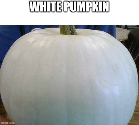 his name is George | WHITE PUMPKIN | image tagged in meme,white pumpkin | made w/ Imgflip meme maker