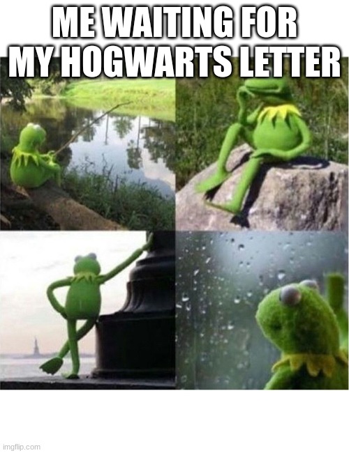 blank kermit waiting | ME WAITING FOR MY HOGWARTS LETTER | image tagged in blank kermit waiting | made w/ Imgflip meme maker