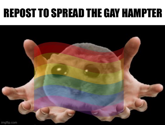 Repost | REPOST TO SPREAD THE GAY HAMPTER | made w/ Imgflip meme maker