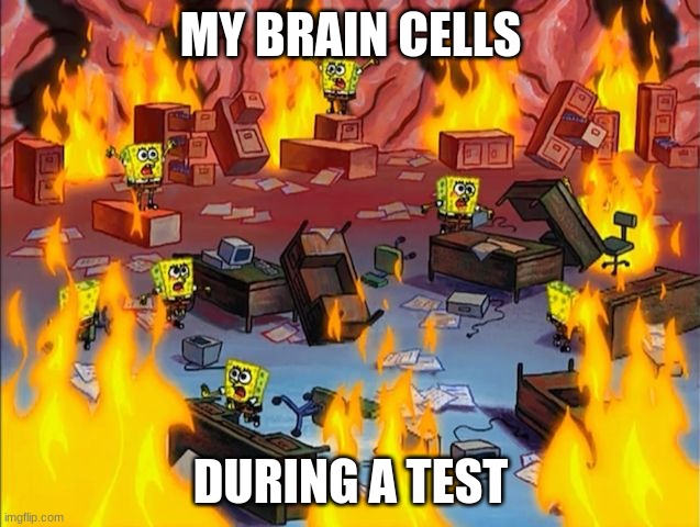 My brain cells... | MY BRAIN CELLS; DURING A TEST | image tagged in spongebob fire | made w/ Imgflip meme maker