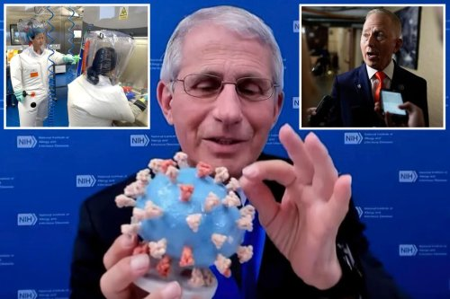 Anthony Fauci Blank Meme Template