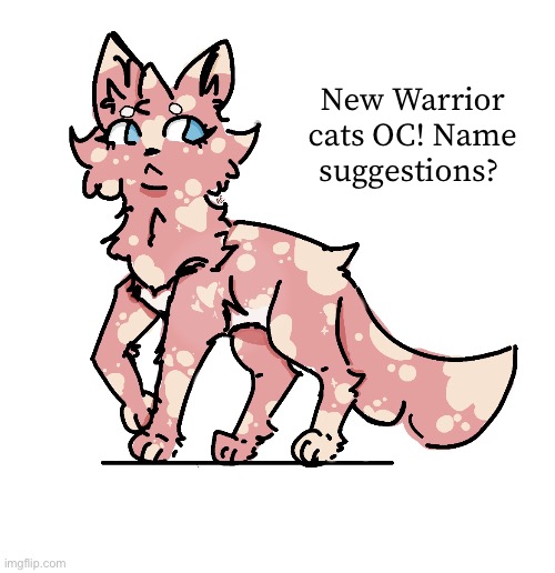 She’s a cutie patootie | New Warrior cats OC! Name suggestions? | made w/ Imgflip meme maker