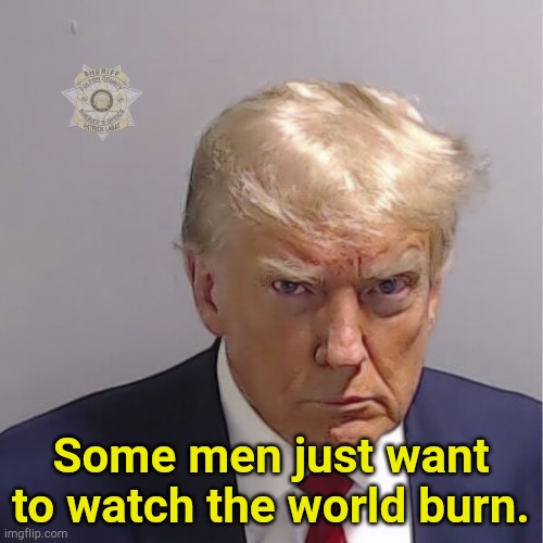 Throwing gasoline on fires all of his miserable life. | Some men just want to watch the world burn. | image tagged in trump mug shot | made w/ Imgflip meme maker