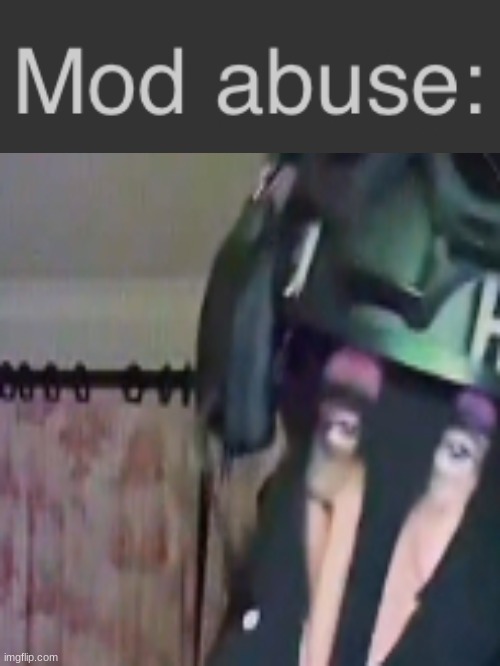 Mod abuse SAK | image tagged in mod abuse sak | made w/ Imgflip meme maker