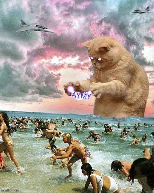 AYMY | image tagged in giant lightning cat | made w/ Imgflip meme maker