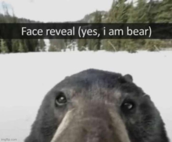Bear | made w/ Imgflip meme maker