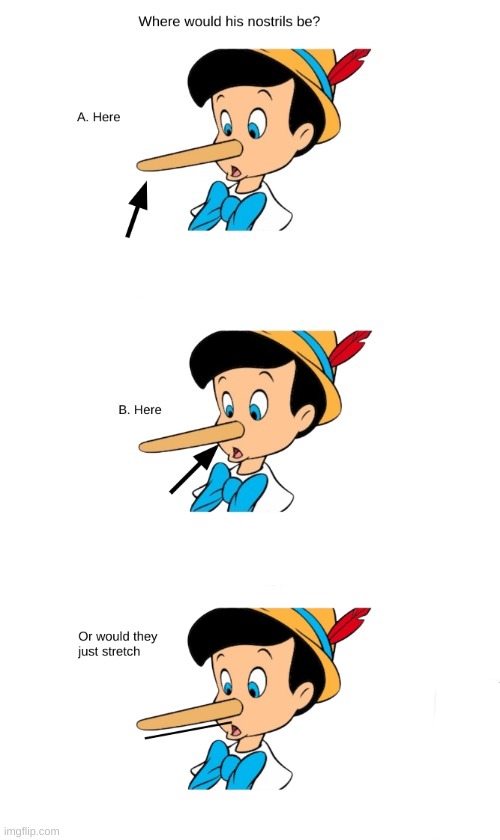 A good question... | image tagged in pinocchio | made w/ Imgflip meme maker