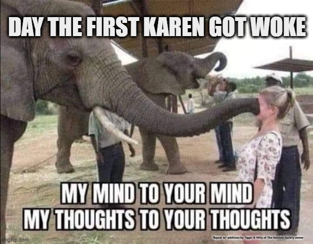 How Karens got their nutty ideas for their peanut brains...the elephant just wanted her to shut up & peanuts. | DAY THE FIRST KAREN GOT WOKE; Repost w/ additions by Tigger & Willy of The Heinlein Society meme | made w/ Imgflip meme maker