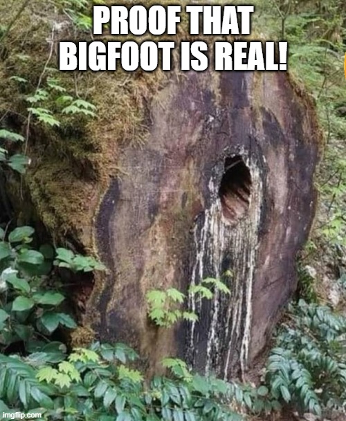 Bigfoot Exists | PROOF THAT BIGFOOT IS REAL! | image tagged in adult humor | made w/ Imgflip meme maker