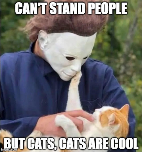 Cats are Cool | CAN'T STAND PEOPLE; BUT CATS, CATS ARE COOL | image tagged in cats | made w/ Imgflip meme maker