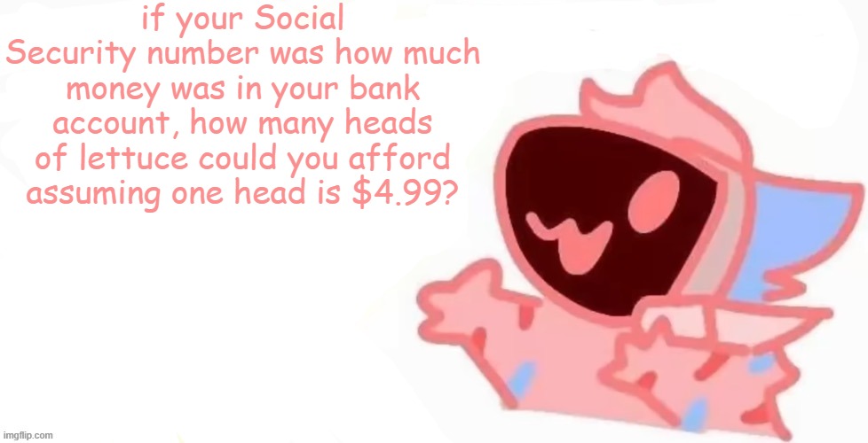 teh x protogen :3 | if your Social Security number was how much money was in your bank account, how many heads of lettuce could you afford assuming one head is $4.99? | image tagged in teh x protogen 3 | made w/ Imgflip meme maker