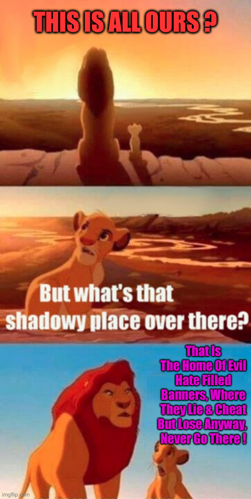 The Sh*thole | THIS IS ALL OURS ? That Is The Home Of Evil Hate Filled Banners, Where They Lie & Cheat But Lose Anyway, 
Never Go There ! | image tagged in memes,simba shadowy place,political meme,politics,funny memes,funny | made w/ Imgflip meme maker