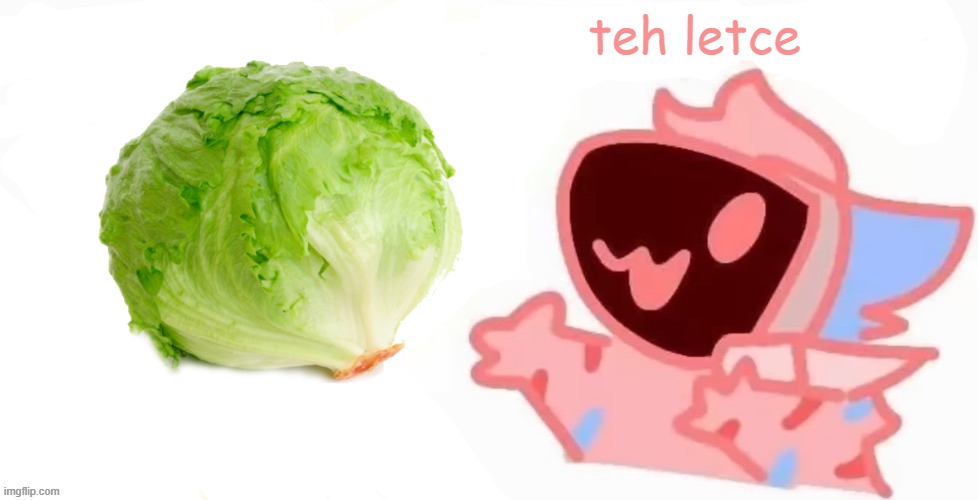 teh x protogen :3 | teh letce | image tagged in teh x protogen 3 | made w/ Imgflip meme maker