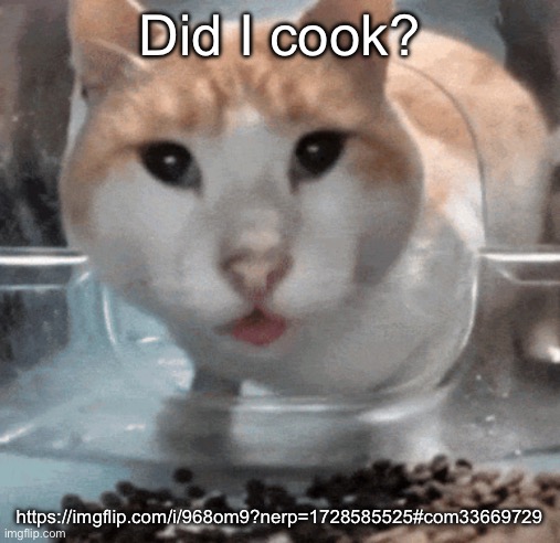 Mr Shock stare | Did I cook? https://imgflip.com/i/968om9?nerp=1728585525#com33669729 | image tagged in mr shock stare | made w/ Imgflip meme maker