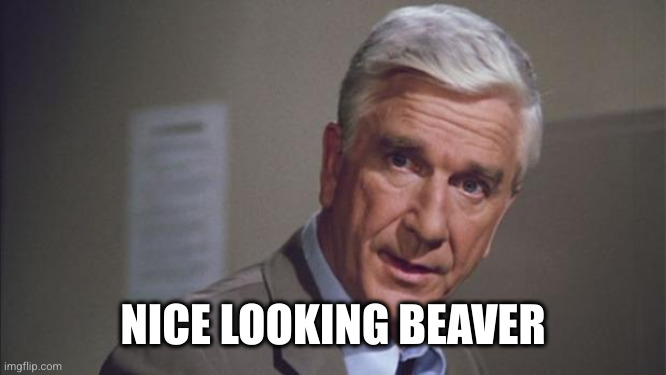 police squad | NICE LOOKING BEAVER | image tagged in police squad | made w/ Imgflip meme maker