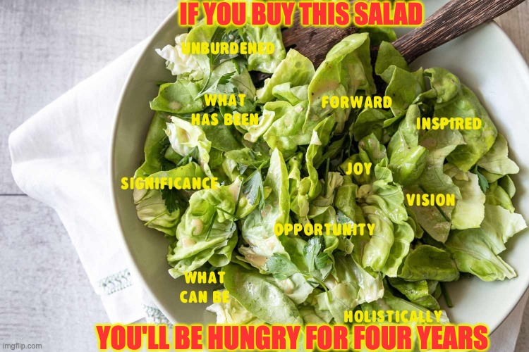 Wake Up, America! | IF YOU BUY THIS SALAD; YOU'LL BE HUNGRY FOR FOUR YEARS | image tagged in word salad,kamala salad,full of nothing | made w/ Imgflip meme maker