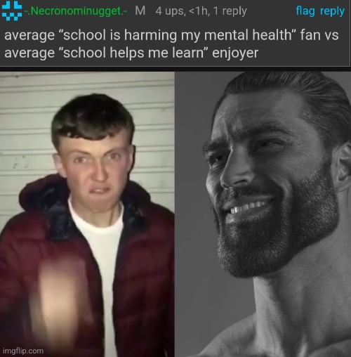 Average Fan vs Average Enjoyer | image tagged in average fan vs average enjoyer | made w/ Imgflip meme maker
