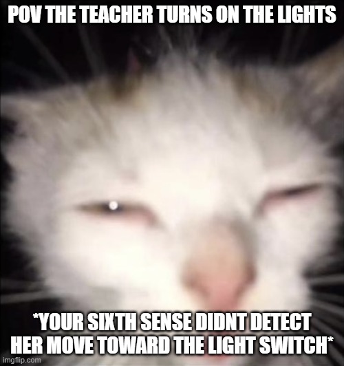 squinting cat | POV THE TEACHER TURNS ON THE LIGHTS; *YOUR SIXTH SENSE DIDNT DETECT HER MOVE TOWARD THE LIGHT SWITCH* | image tagged in squinting cat | made w/ Imgflip meme maker