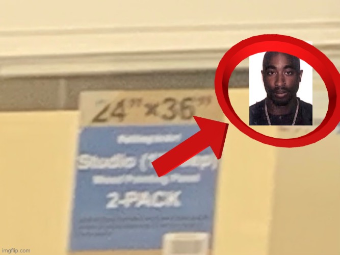 RIP Tupac | image tagged in memes,funny,haha | made w/ Imgflip meme maker