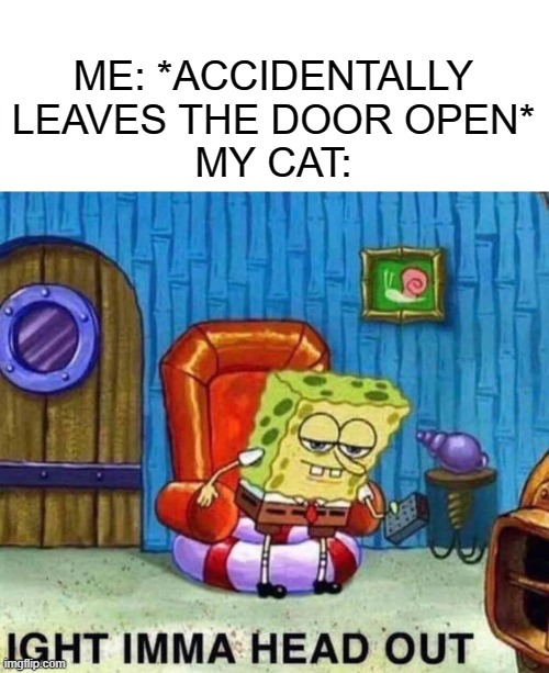 I'm the one providing you with all your basic needs, you ungrateful buffoon | ME: *ACCIDENTALLY LEAVES THE DOOR OPEN*
MY CAT: | image tagged in memes,spongebob ight imma head out,cats,funny,spongebob | made w/ Imgflip meme maker