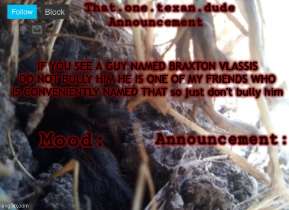 THE that.one.texan.dude announcement template | IF YOU SEE A GUY NAMED BRAXTON VLASSIS DO NOT BULLY HIM HE IS ONE OF MY FRIENDS WHO IS CONVENIENTLY NAMED THAT so just don't bully him | image tagged in the that one texan dude announcement template | made w/ Imgflip meme maker
