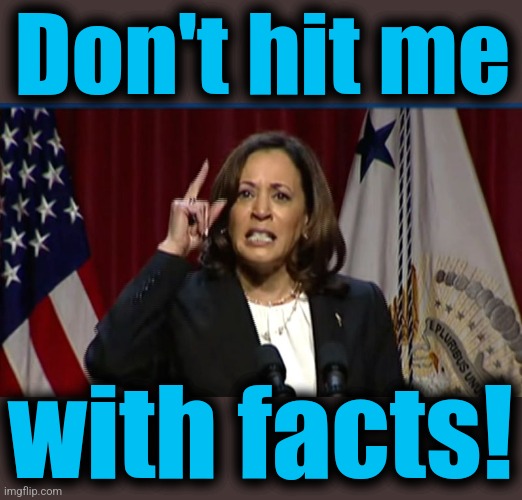 Kamala Angry | Don't hit me with facts! | image tagged in kamala angry | made w/ Imgflip meme maker