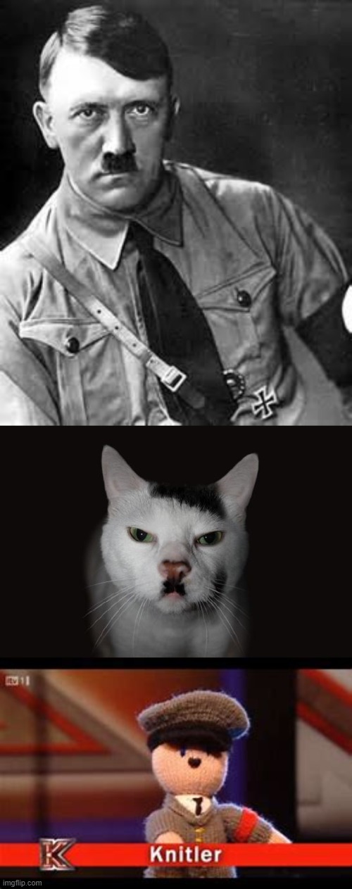 top 3 hitler | image tagged in adolf hitler,kitler,knitler | made w/ Imgflip meme maker