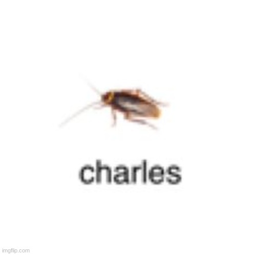 shout out to my man charles | image tagged in low quality bug charles | made w/ Imgflip meme maker