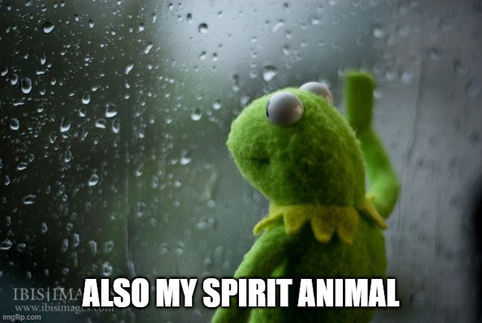 kermit window | ALSO MY SPIRIT ANIMAL | image tagged in kermit window | made w/ Imgflip meme maker