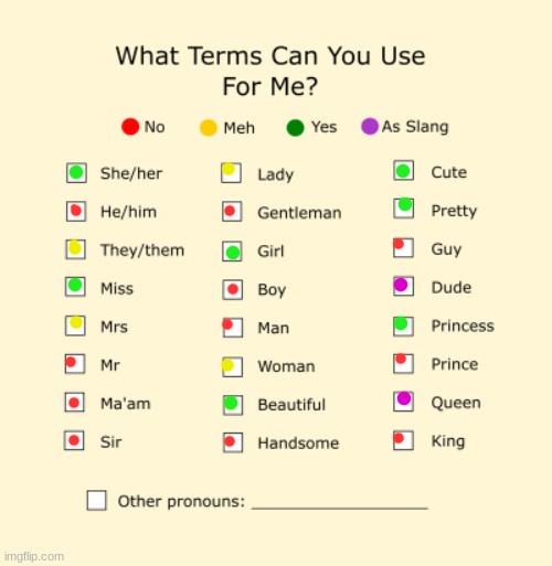 what should u call me? | image tagged in pronouns sheet | made w/ Imgflip meme maker