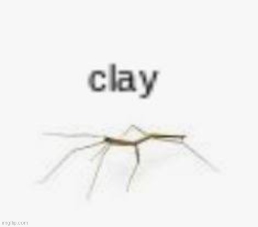 spam clay | image tagged in low quality bug 4 | made w/ Imgflip meme maker