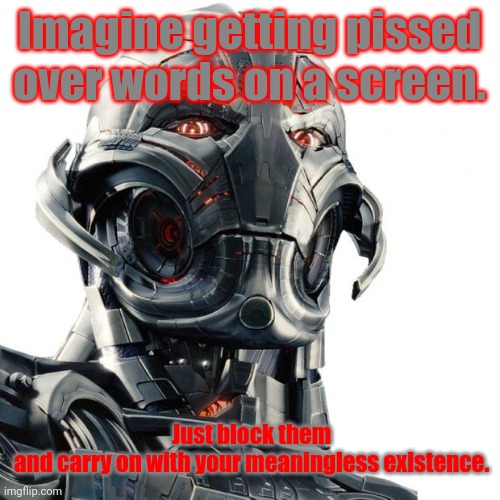 Now I sound like Wallhammer. | Imagine getting pissed over words on a screen. Just block them and carry on with your meaningless existence. | image tagged in ultron | made w/ Imgflip meme maker