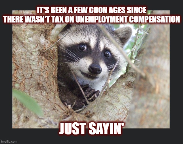 IT'S BEEN A FEW COON AGES SINCE THERE WASN'T TAX ON UNEMPLOYMENT COMPENSATION JUST SAYIN' | made w/ Imgflip meme maker