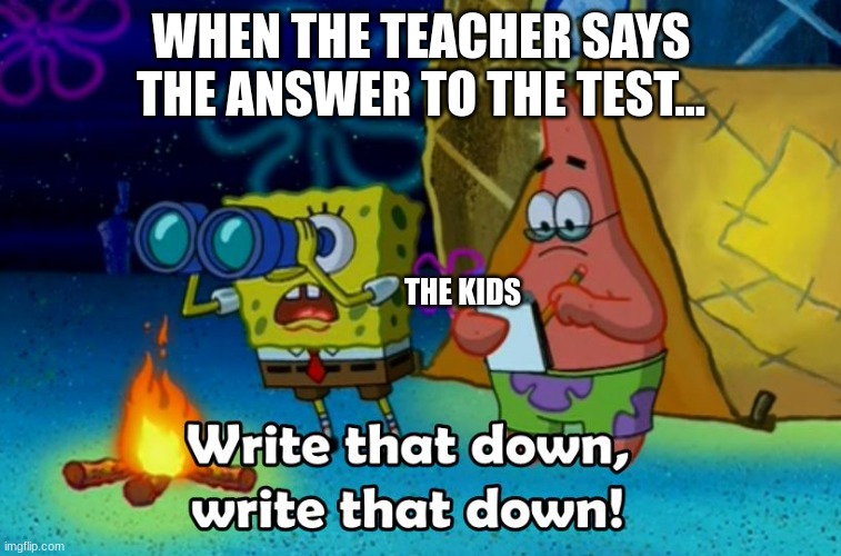 Test... | WHEN THE TEACHER SAYS THE ANSWER TO THE TEST... THE KIDS | image tagged in write that down | made w/ Imgflip meme maker