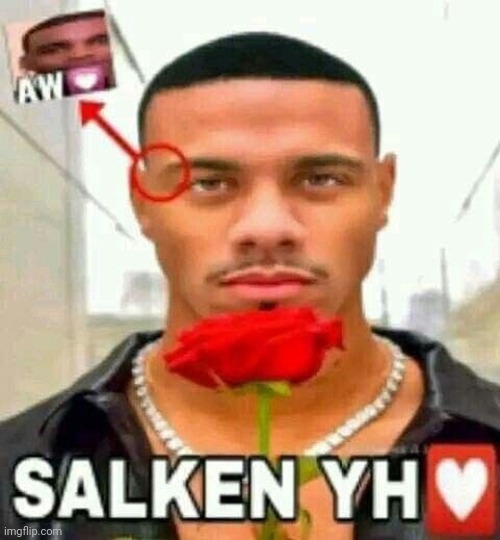 salken yh | image tagged in salken yh | made w/ Imgflip meme maker