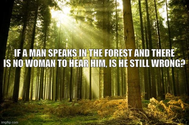 IF A MAN SPEAKS IN THE FOREST AND THERE IS NO WOMAN TO HEAR HIM, IS HE STILL WRONG? | IF A MAN SPEAKS IN THE FOREST AND THERE IS NO WOMAN TO HEAR HIM, IS HE STILL WRONG? | image tagged in sunlit forest | made w/ Imgflip meme maker